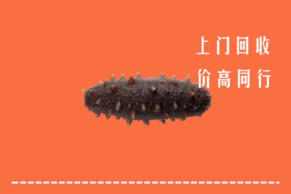高价求购：哈尔滨市五常回收海参