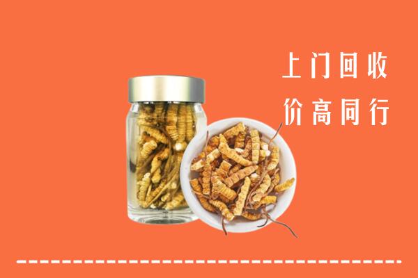 哈尔滨市五常回收冬虫夏草